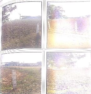 Plot for Sale in Gadarwara — photo 1