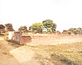 Godowns for Sale in BHIND, Bhind — photo 3