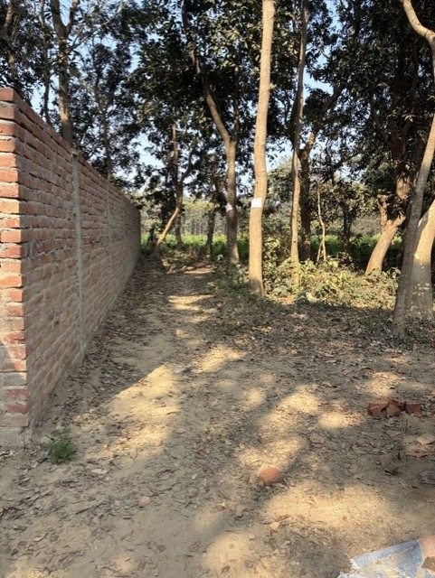 Plot for Sale in Begusarai — photo 1
