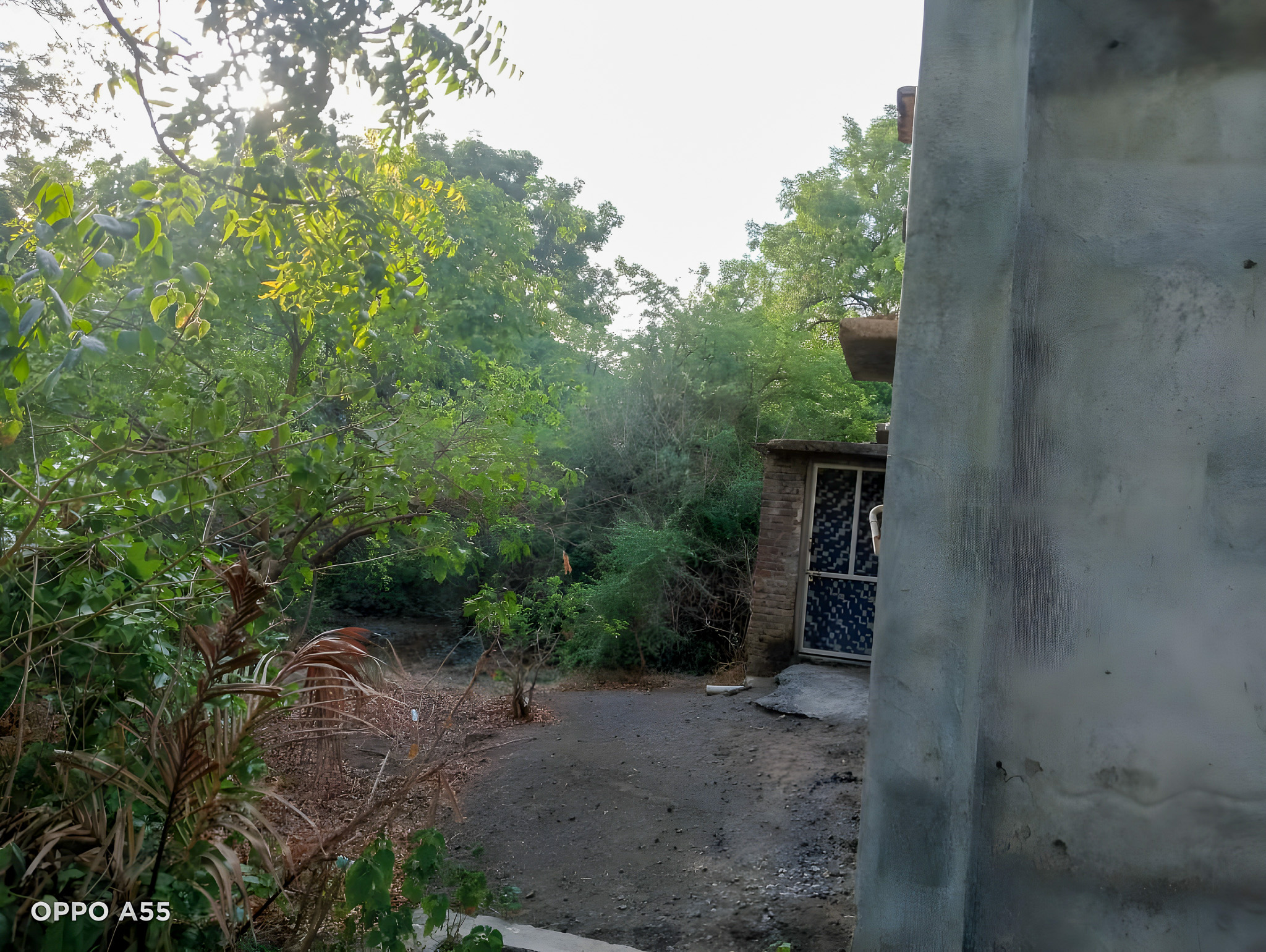 Industrial Plot with Factory Building for Sale in Akot — photo 10