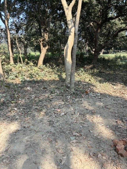 Plot for Sale in Begusarai — photo 2