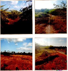 Plot for Sale in Aravakurichi — photo 1