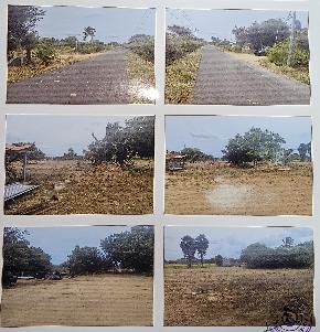 VACANT LAND for Sale in Olapalayam, Coimbatore — photo 1