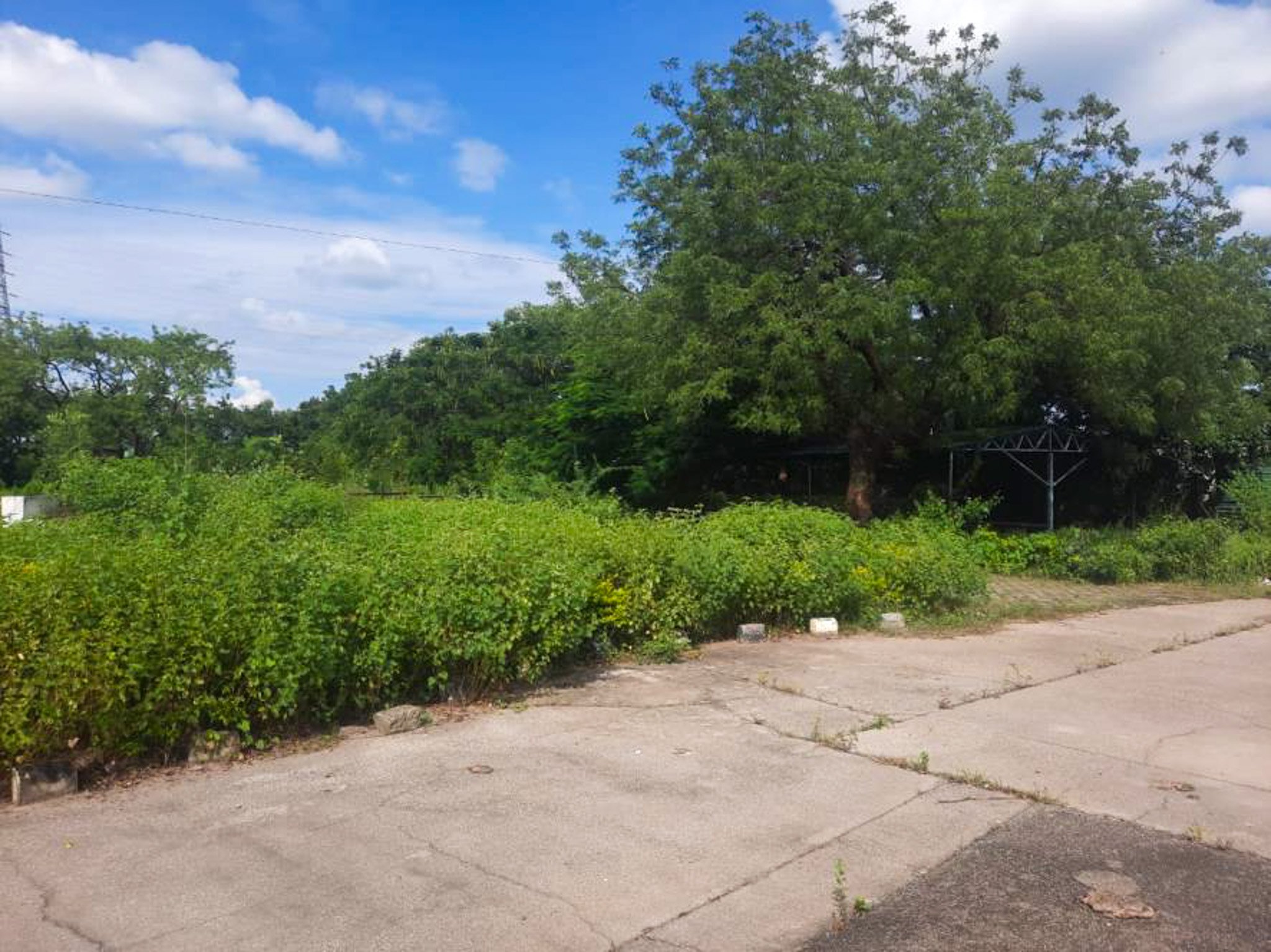 Factory Land & Building with Plant & Machinery for Sale in Gat no.53,55,56,57 & 73 at Village Kund and Gat no. 419 at Village Dharangaon, Tal-Malkapur MS, Malkapur — photo 2
