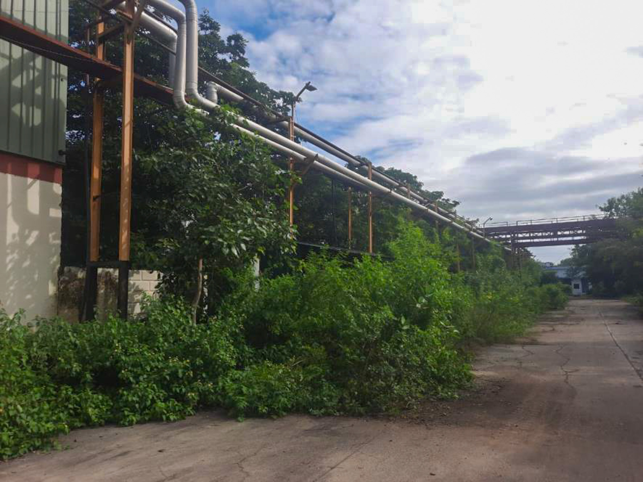 Factory Land & Building with Plant & Machinery for Sale in Gat no.53,55,56,57 & 73 at Village Kund and Gat no. 419 at Village Dharangaon, Tal-Malkapur MS, Malkapur — photo 4