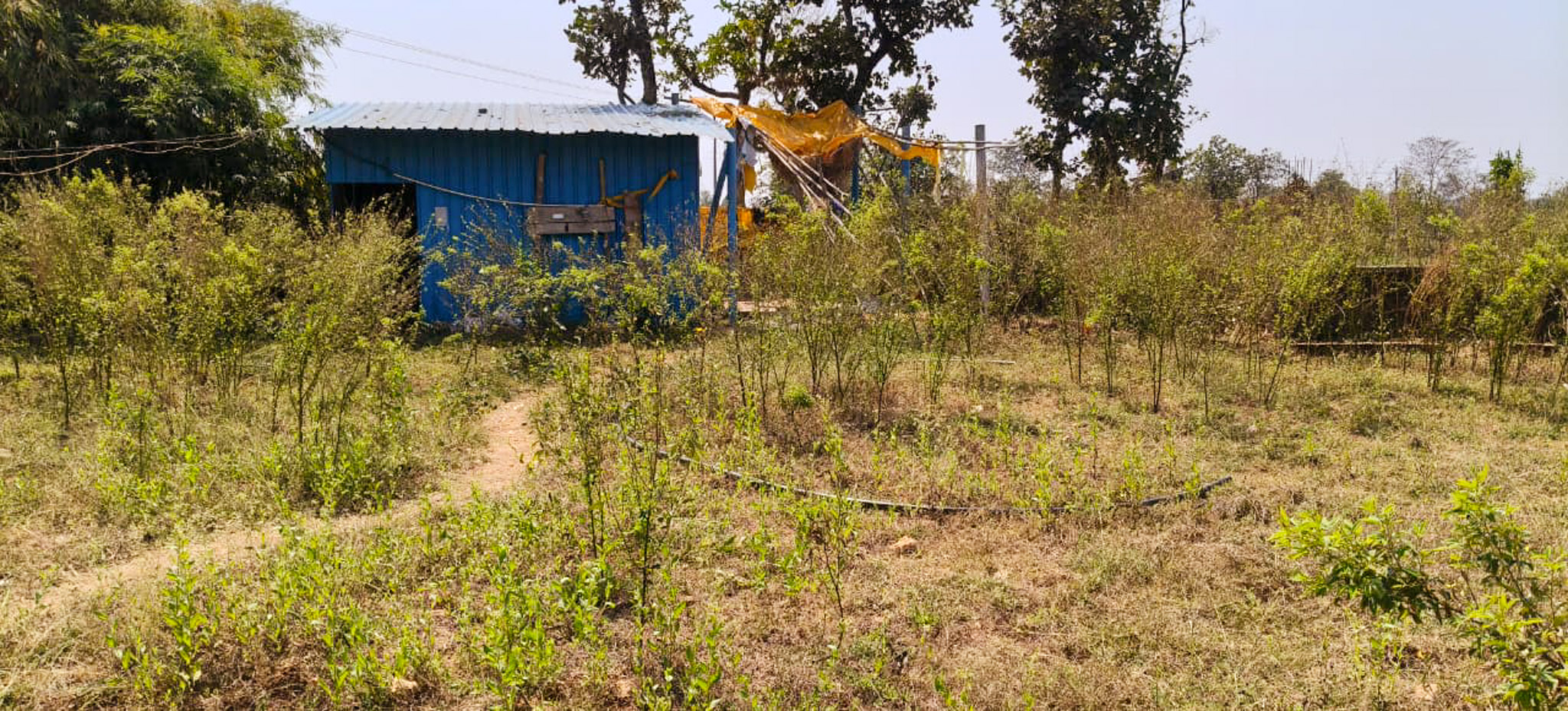 Godowns for Sale in MAUZA SARAD RNM RAJEGAON TAHSIL KIRNAPUR DISTRICT BALAGHAT, Balaghat — photo 11