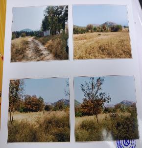 Plot for Sale in Udumalaipettai — photo 1