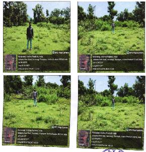 Plot for Sale in Tekkali — photo 1