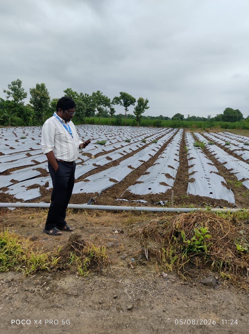 Agriculture Land for Sale in Ellora — photo 4