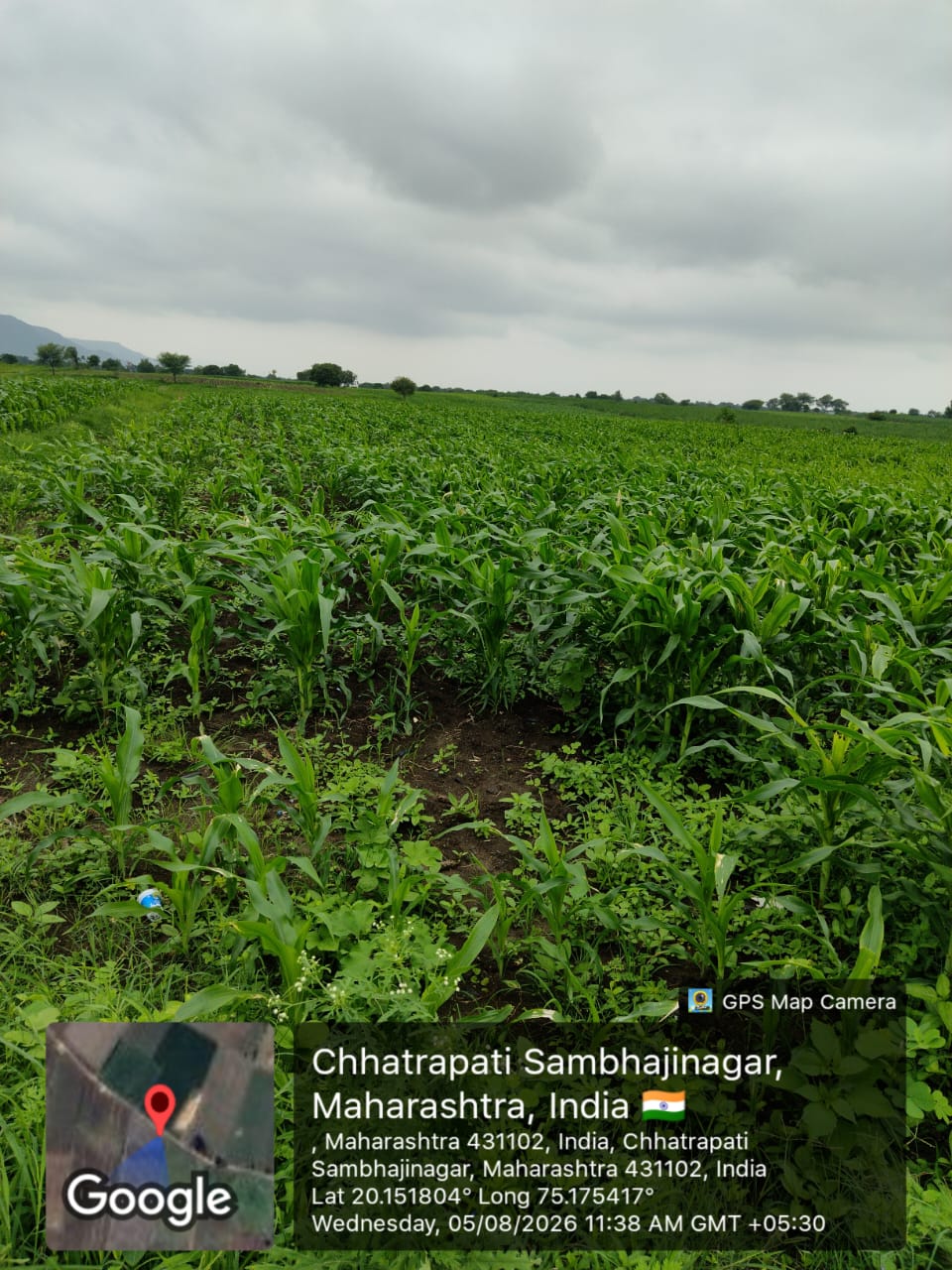 Agriculture Land for Sale in Ellora — photo 4