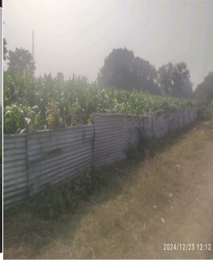 Plot for Sale in Purnea — photo 1