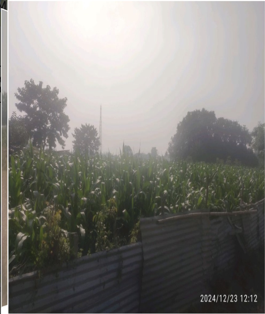 Plot for Sale in Purnea — photo 2