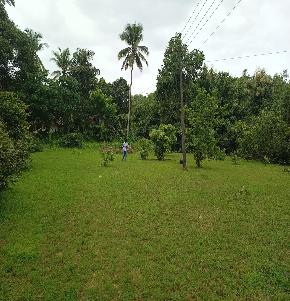 Plot for Sale in Mangaluru — photo 1