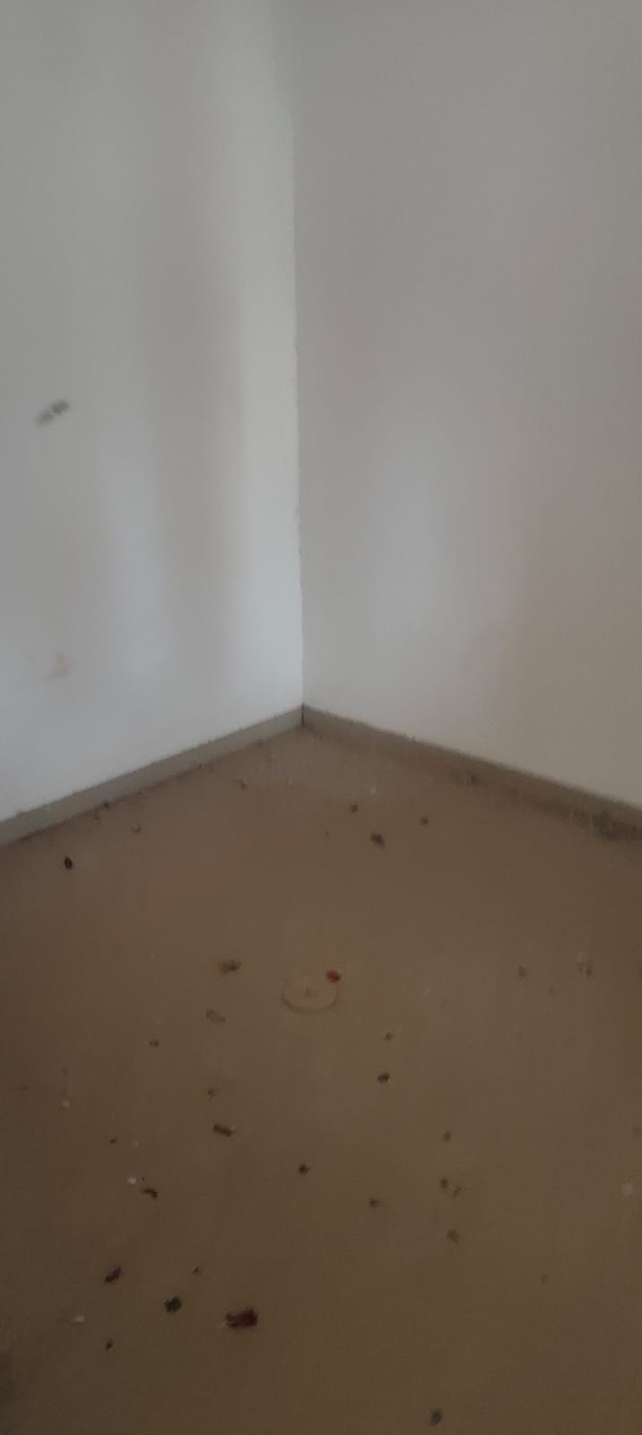 Flat for Sale in Chakan — photo 5