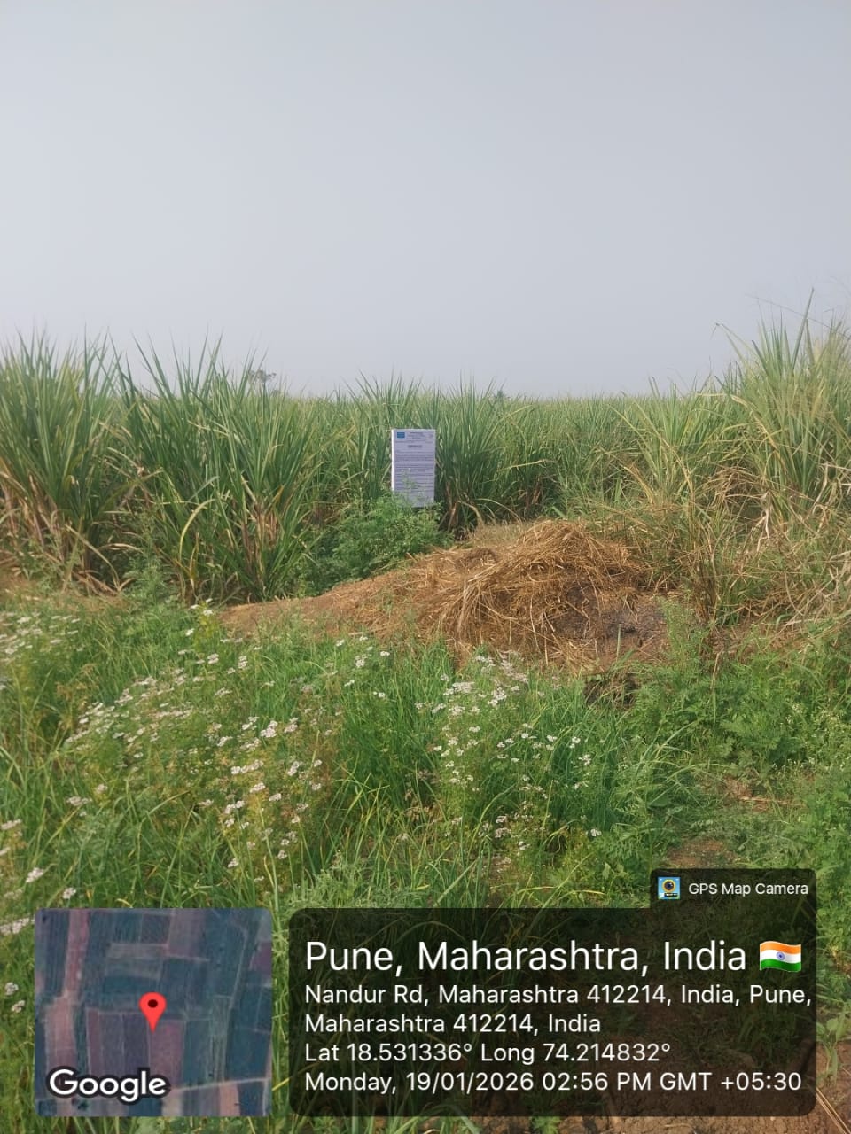 Plot for Sale in Bhor — photo 1