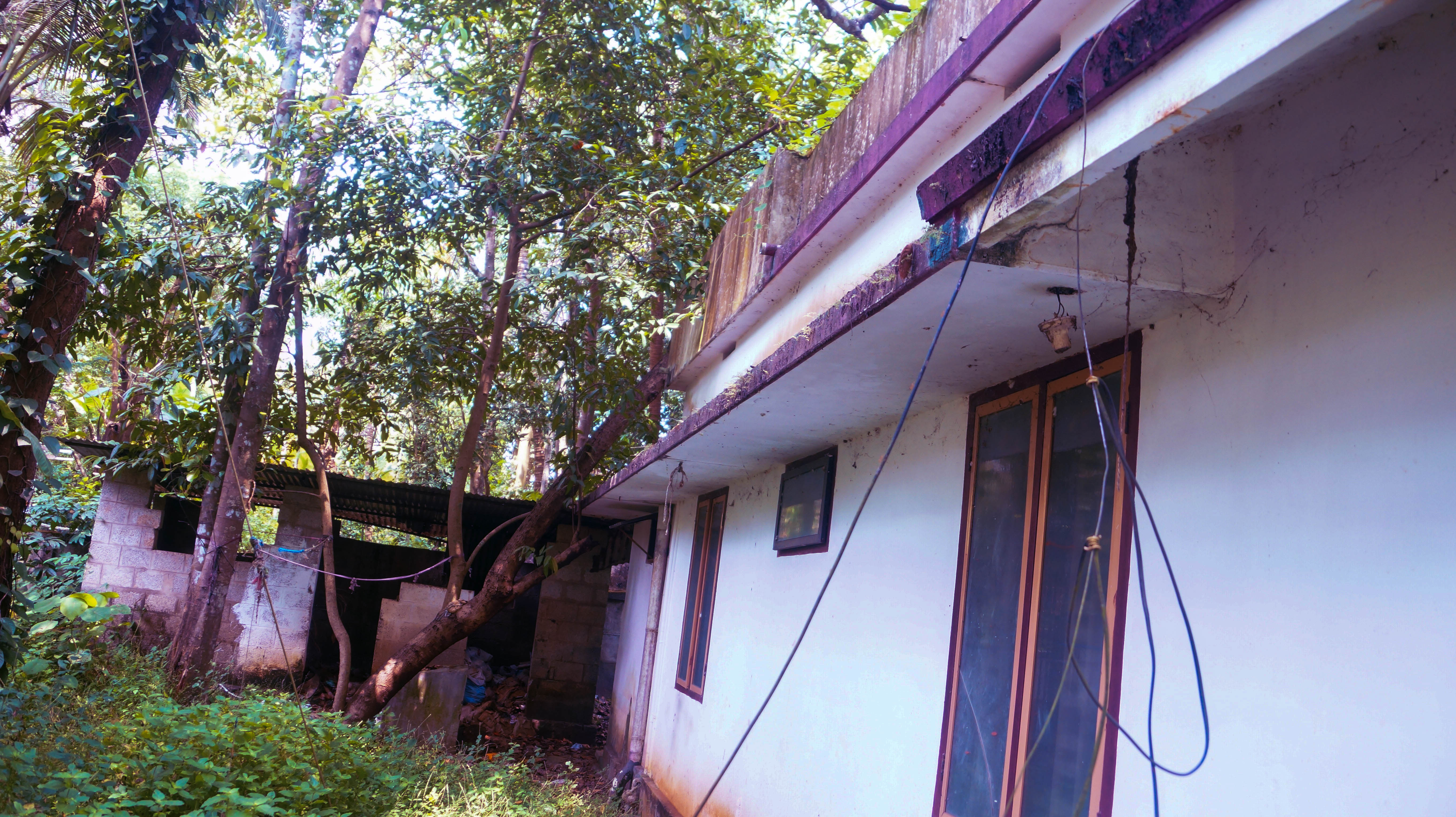 Individual House for Sale in Alur — photo 3