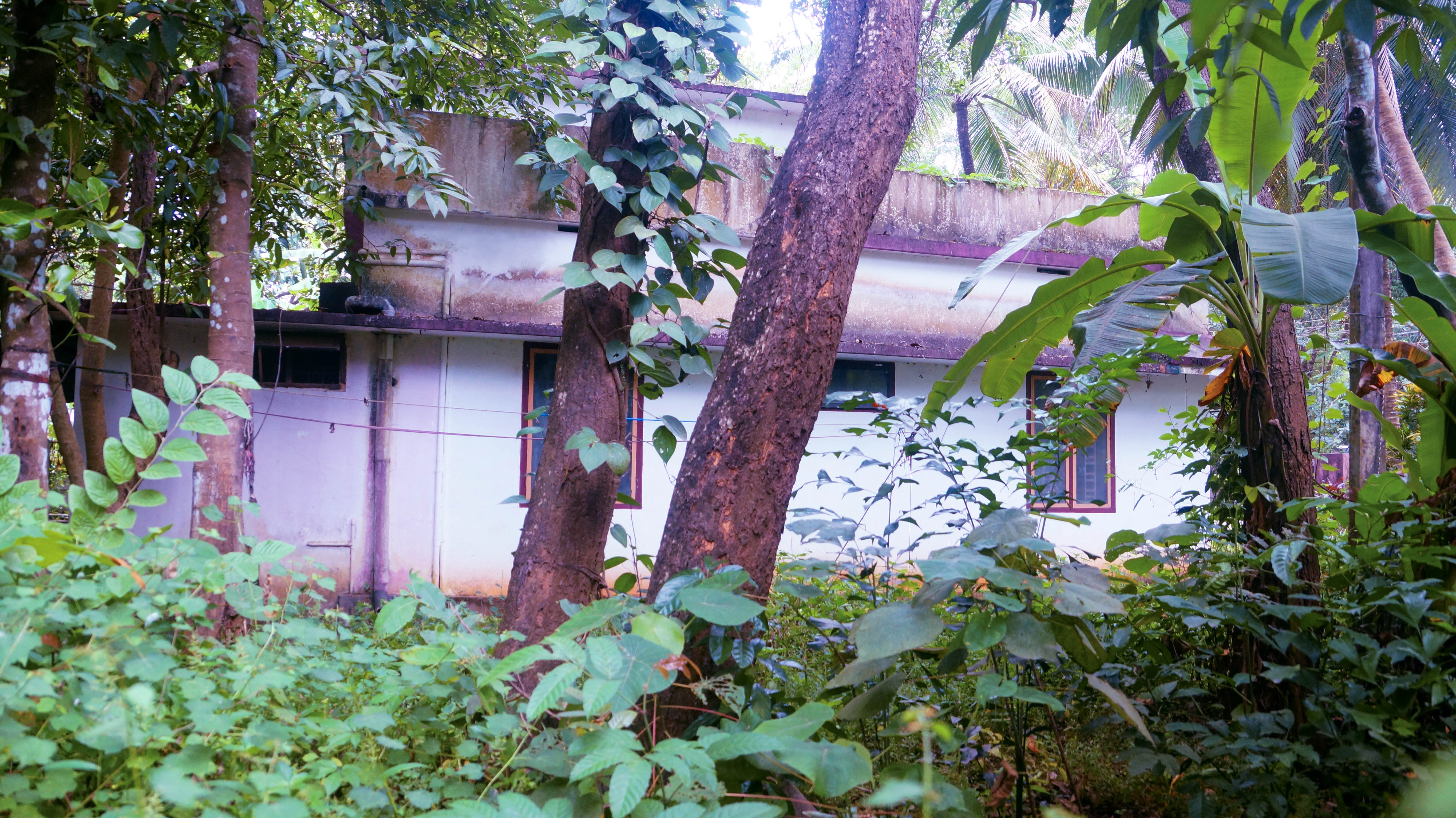 Individual House for Sale in Alur — photo 5
