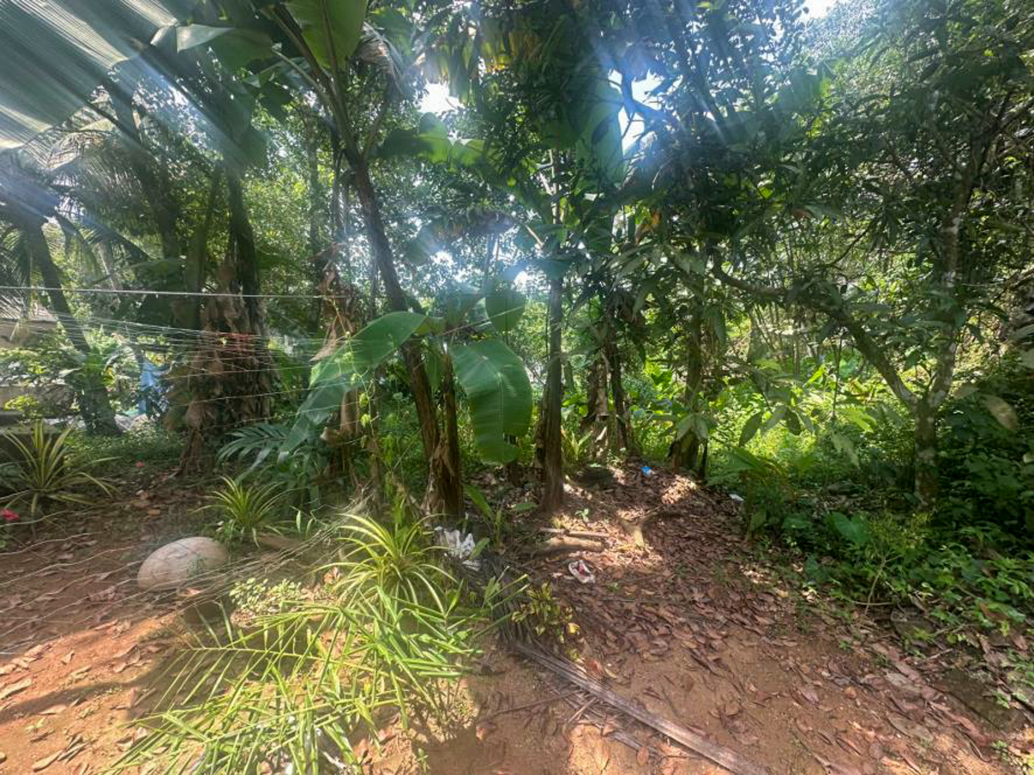 Individual House for Sale in Puthencruz — photo 6