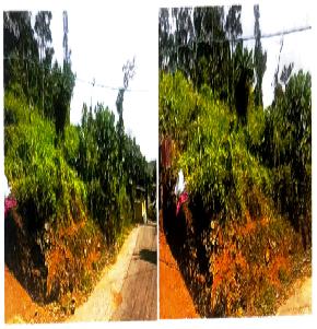 Plot for Sale in Kunnathunad — photo 1