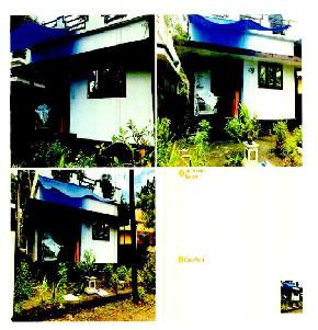 Individual House for Sale in Alangad — photo 1