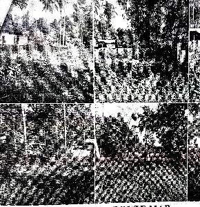 Plot for Sale in THRISSUR, Ala — photo 1