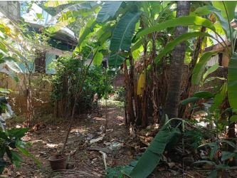Plot for Sale in Killannur Village, Thrissur, Killannur — photo 1