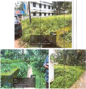 Plot for Sale in Mulamthuruthy — photo 1