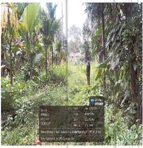 Plot for Sale in Mulamthuruthy — photo 1
