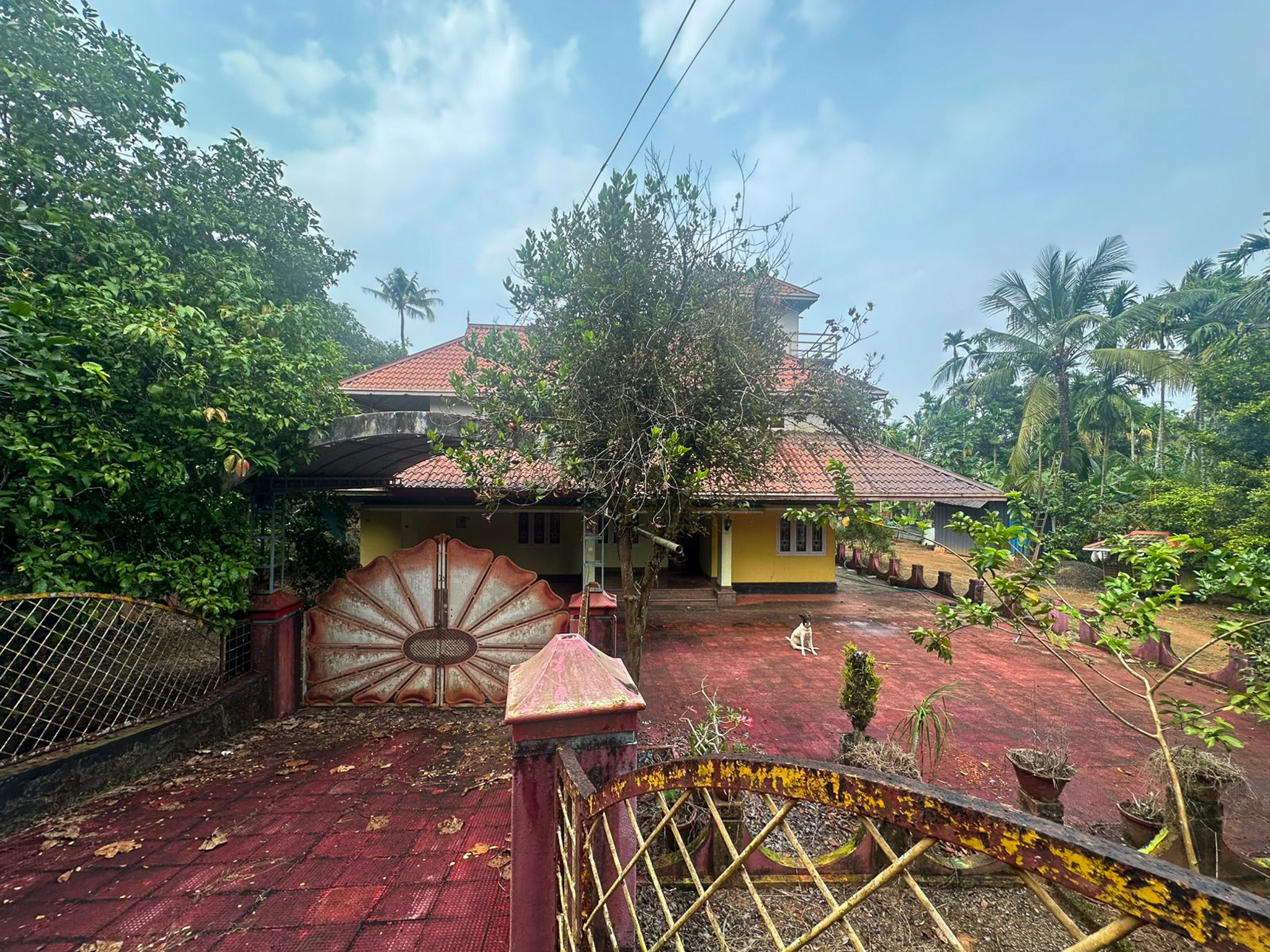 Individual House for Sale in IRINJALAKKUDA, Avittathur — photo 1
