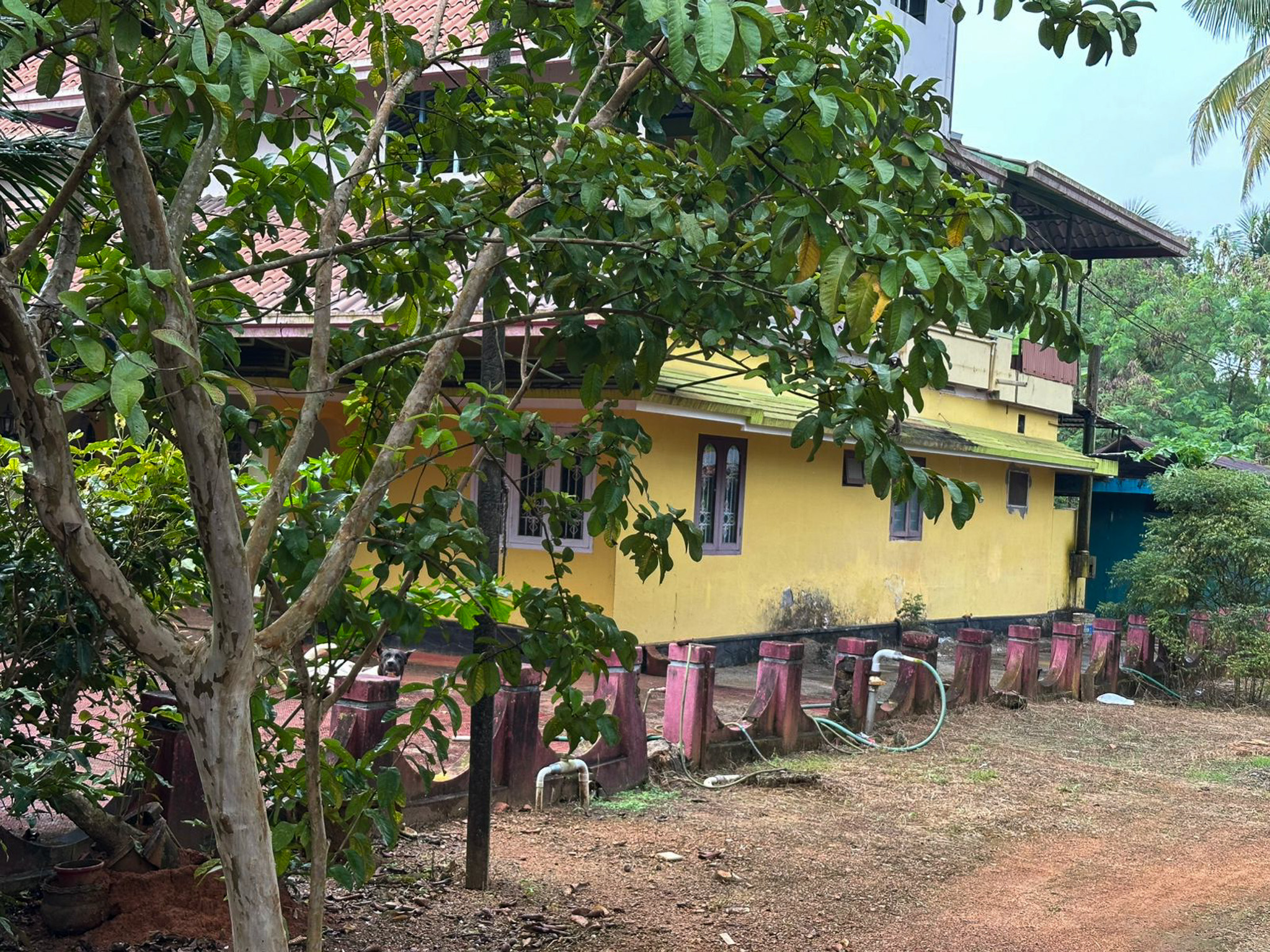 Individual House for Sale in IRINJALAKKUDA, Avittathur — photo 9