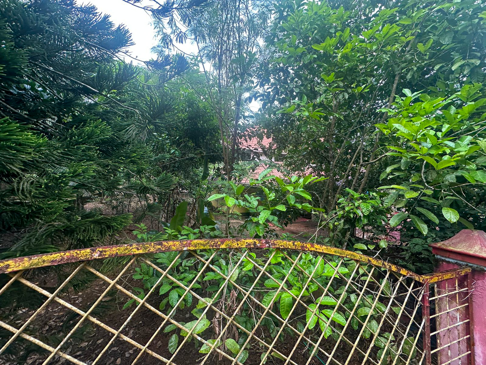 Individual House for Sale in IRINJALAKKUDA, Avittathur — photo 10
