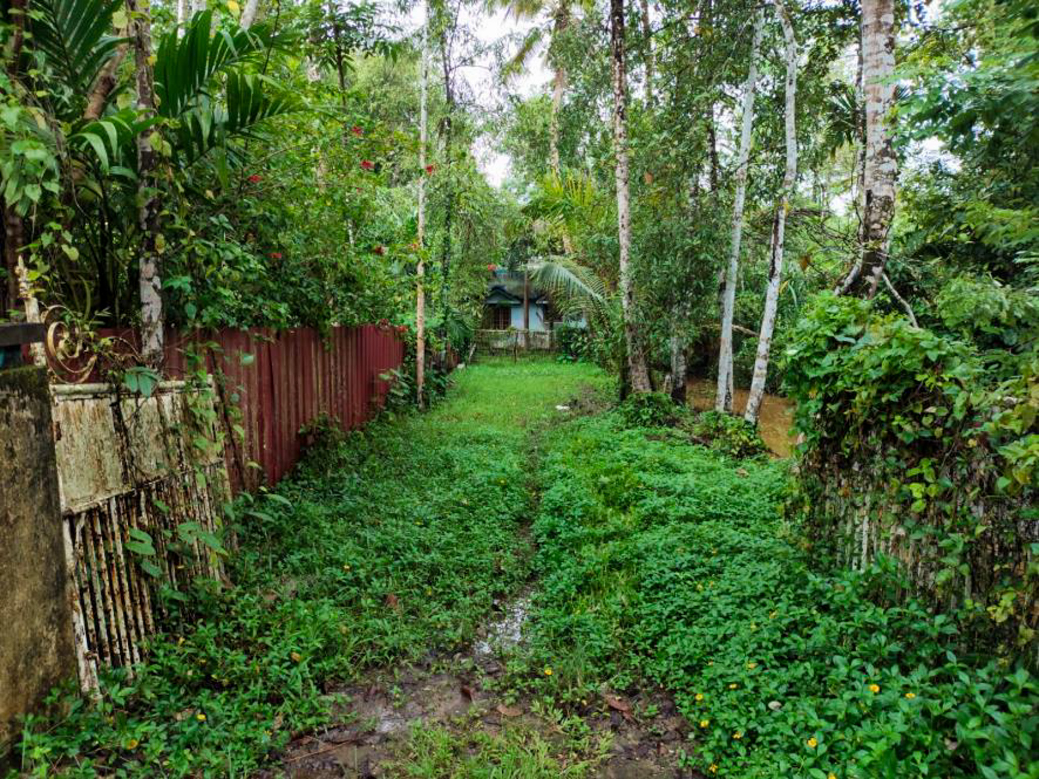 Individual House for Sale in Vaikom — photo 10