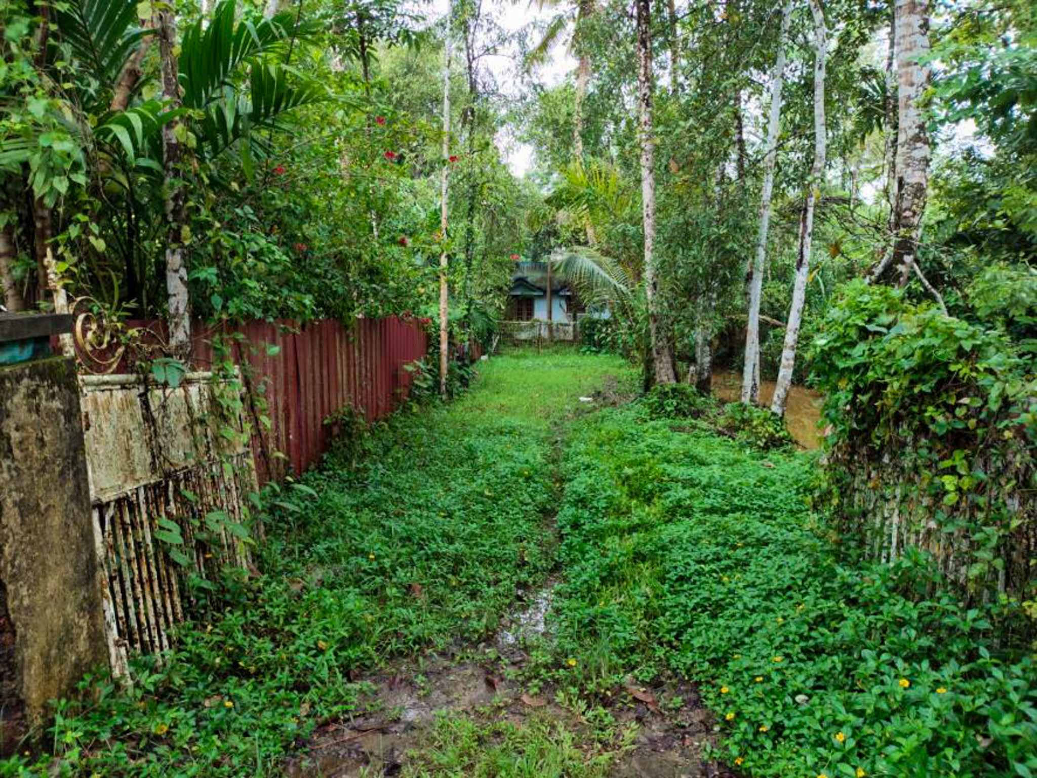 Individual House for Sale in Vaikom — photo 28