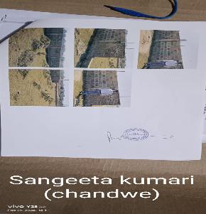 Plot for Sale in Irba — photo 1