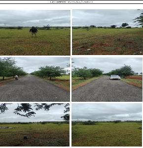 OPEN LAND for Sale in Mundargi