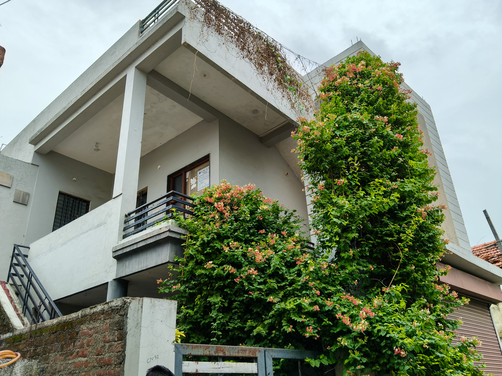 3 BHK Individual House for Sale in SELF, Hinganghat, Hinganghat — photo 3