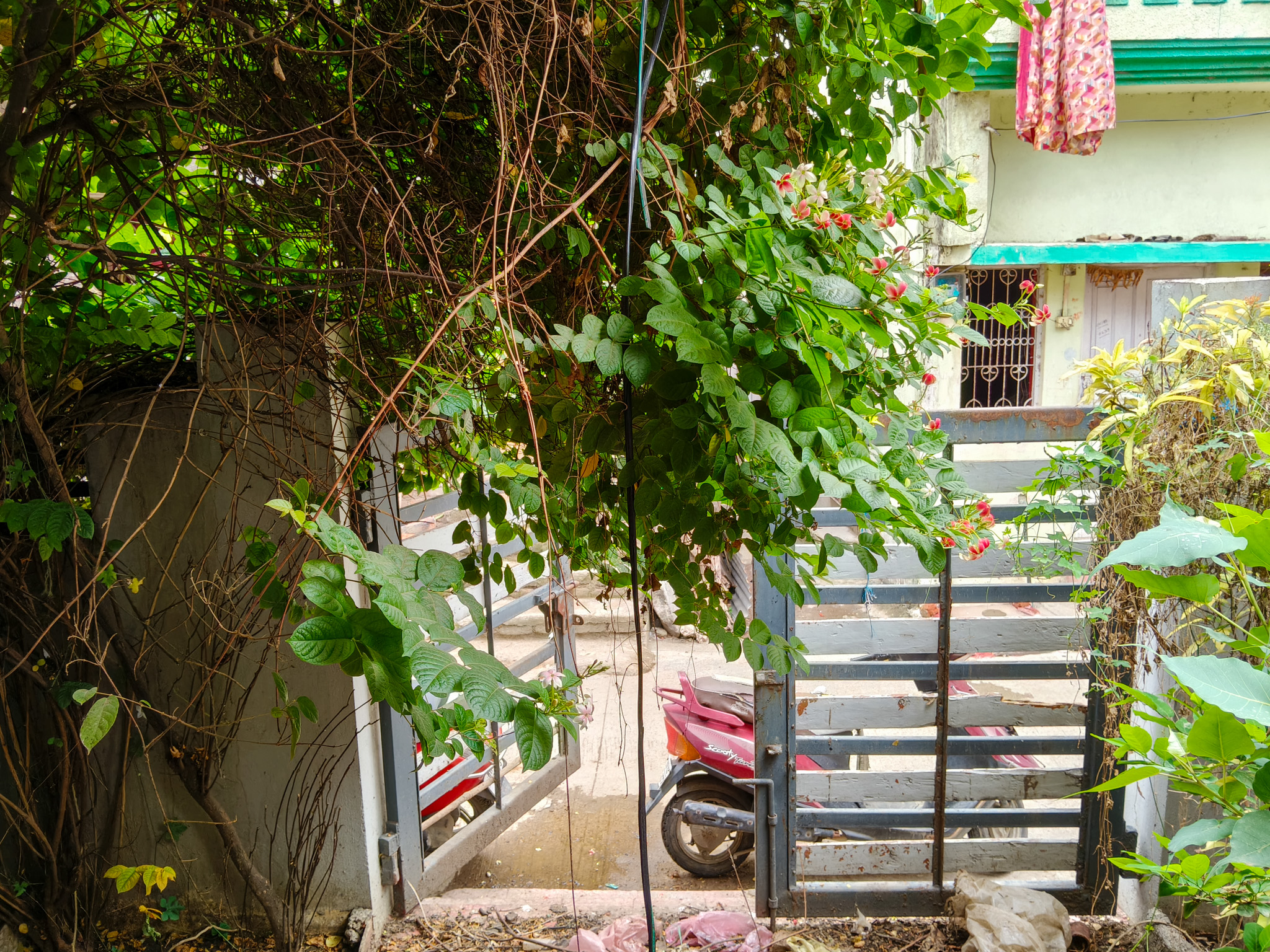 3 BHK Individual House for Sale in SELF, Hinganghat, Hinganghat — photo 4