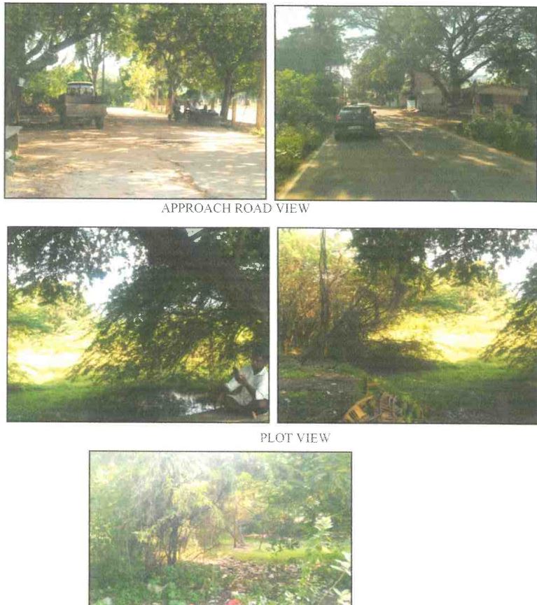 Plot for Sale in Pallipattu — photo 2
