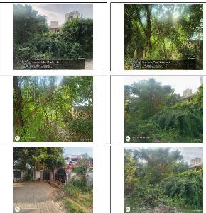 Plot for Sale in Velankanni — photo 1