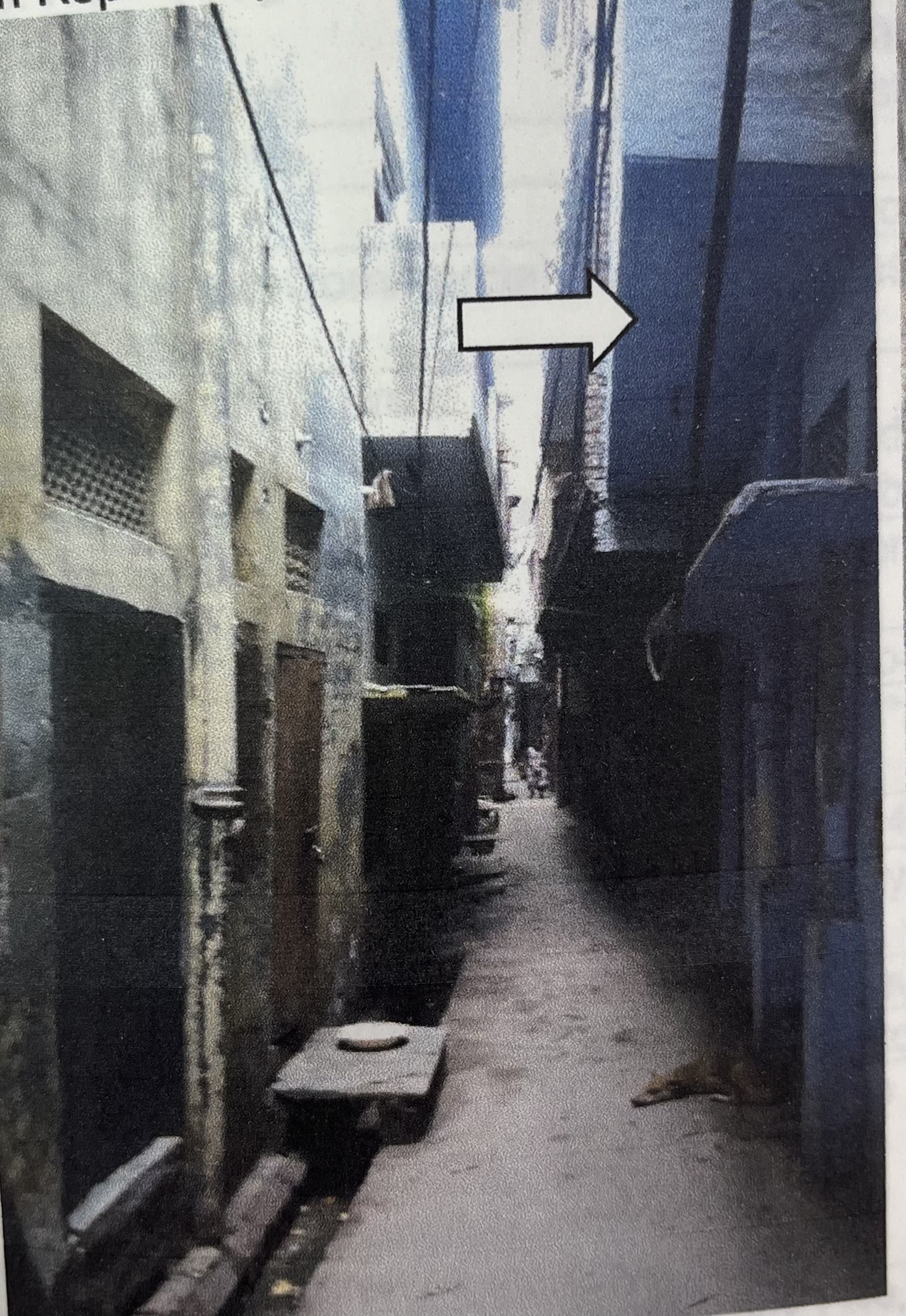 Individual House for Sale in Lucknow — photo 1