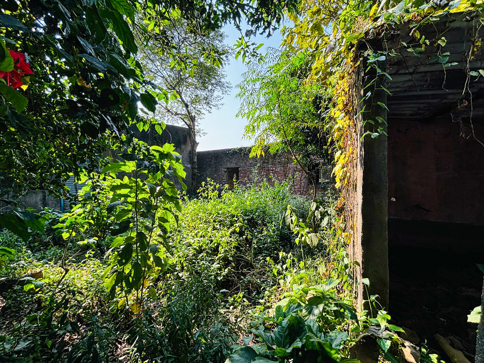 Godowns for Sale in AKNA GRAM PANCHAYET,, POLBA, HOOGHLY, Bansberia — photo 15
