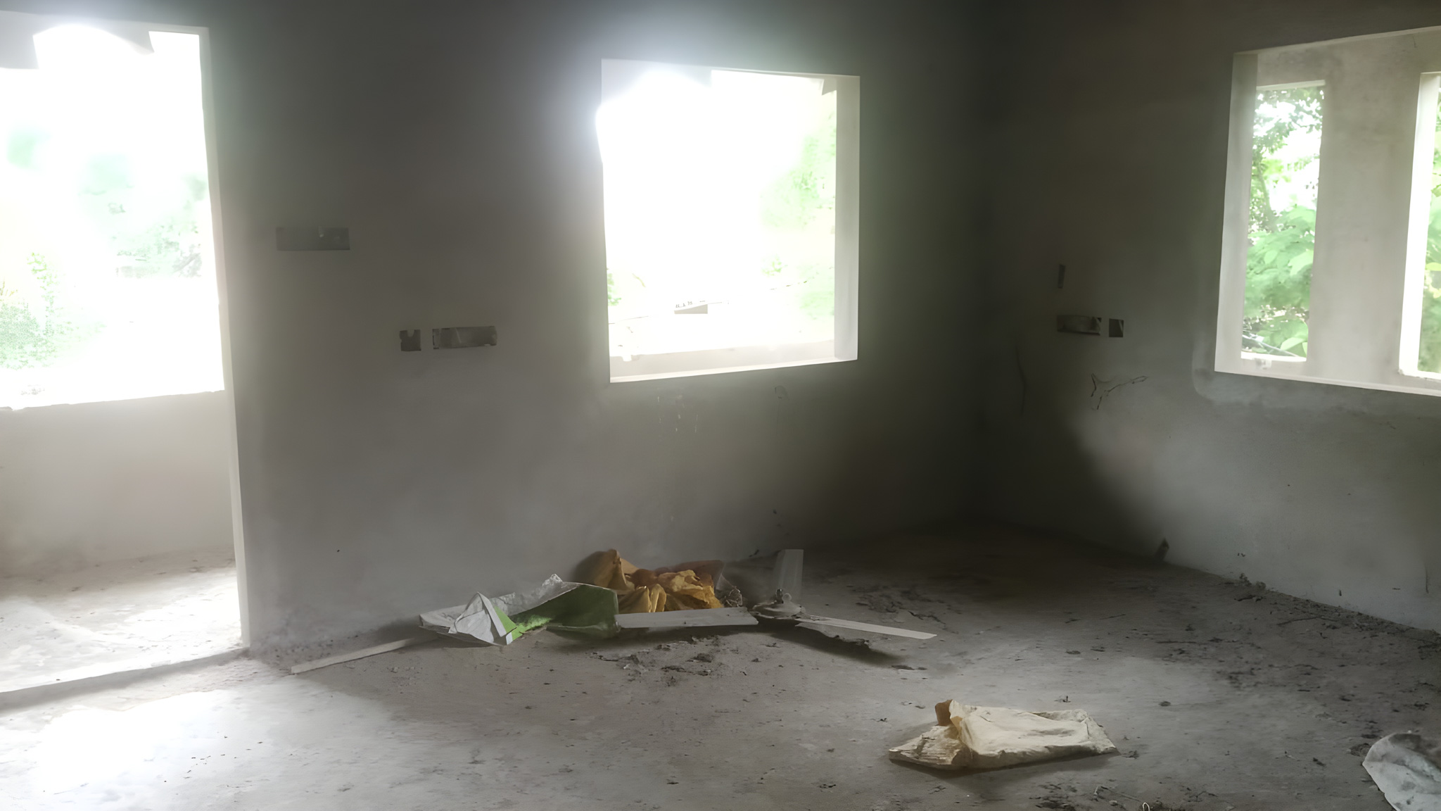 Individual House for Sale in MALIPARA GRAM PANCHAYET, PS- Dadpur, Baksa — photo 8