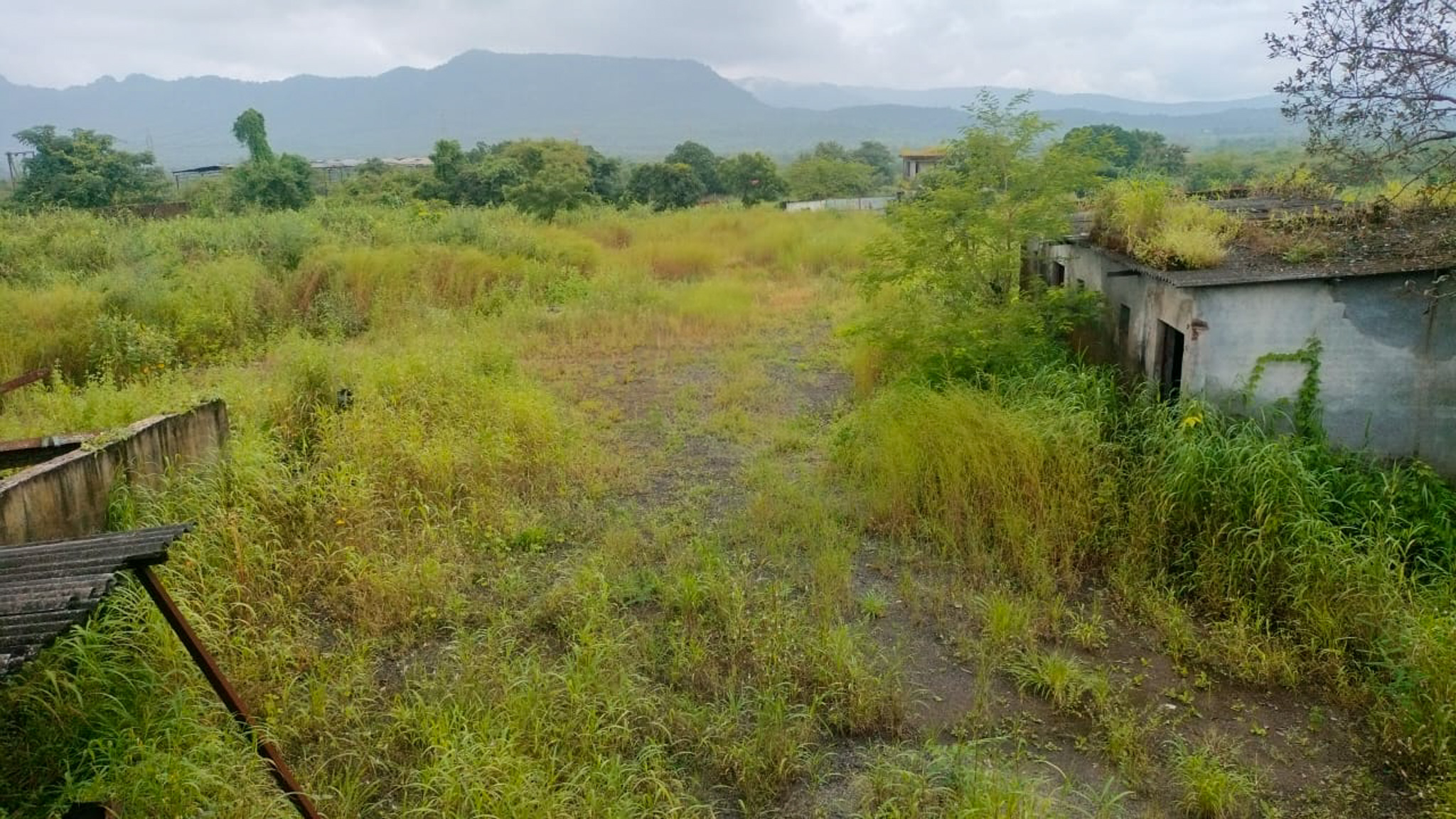 Industrial Plot with Factory Building for Sale in Biloshi, Vada — photo 11