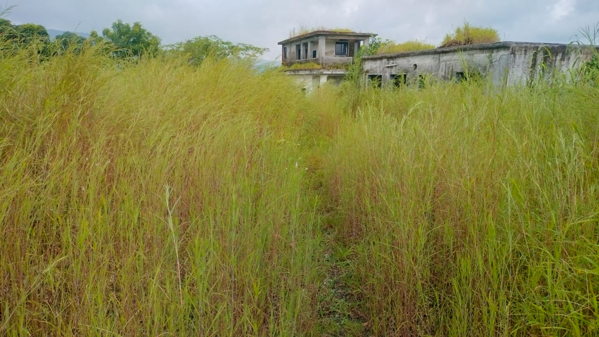 Industrial Plot with Factory Building for Sale in Biloshi, Vada — photo 19