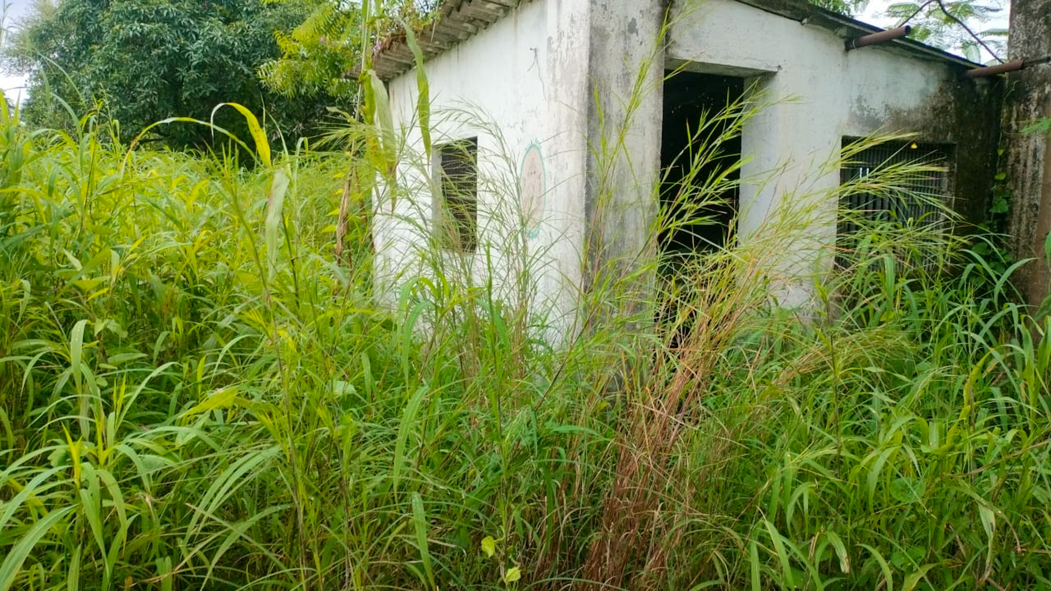 Industrial Plot with Factory Building for Sale in Biloshi, Vada — photo 20