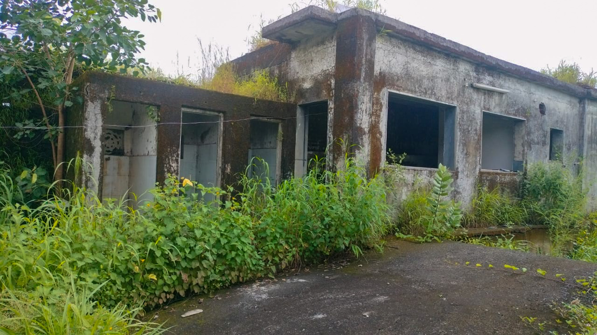 Industrial Plot with Factory Building for Sale in Biloshi, Vada — photo 1