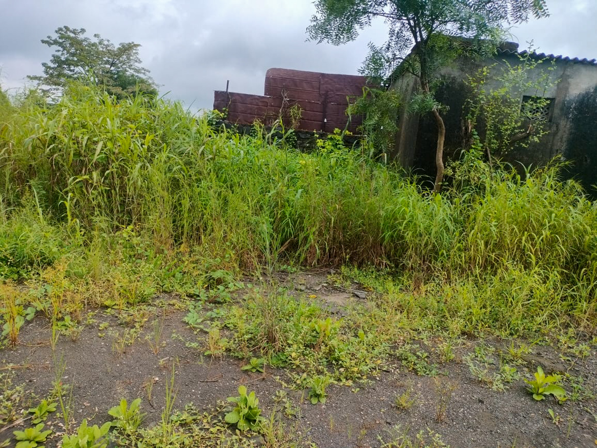 Industrial Plot with Factory Building for Sale in Biloshi, Vada — photo 3