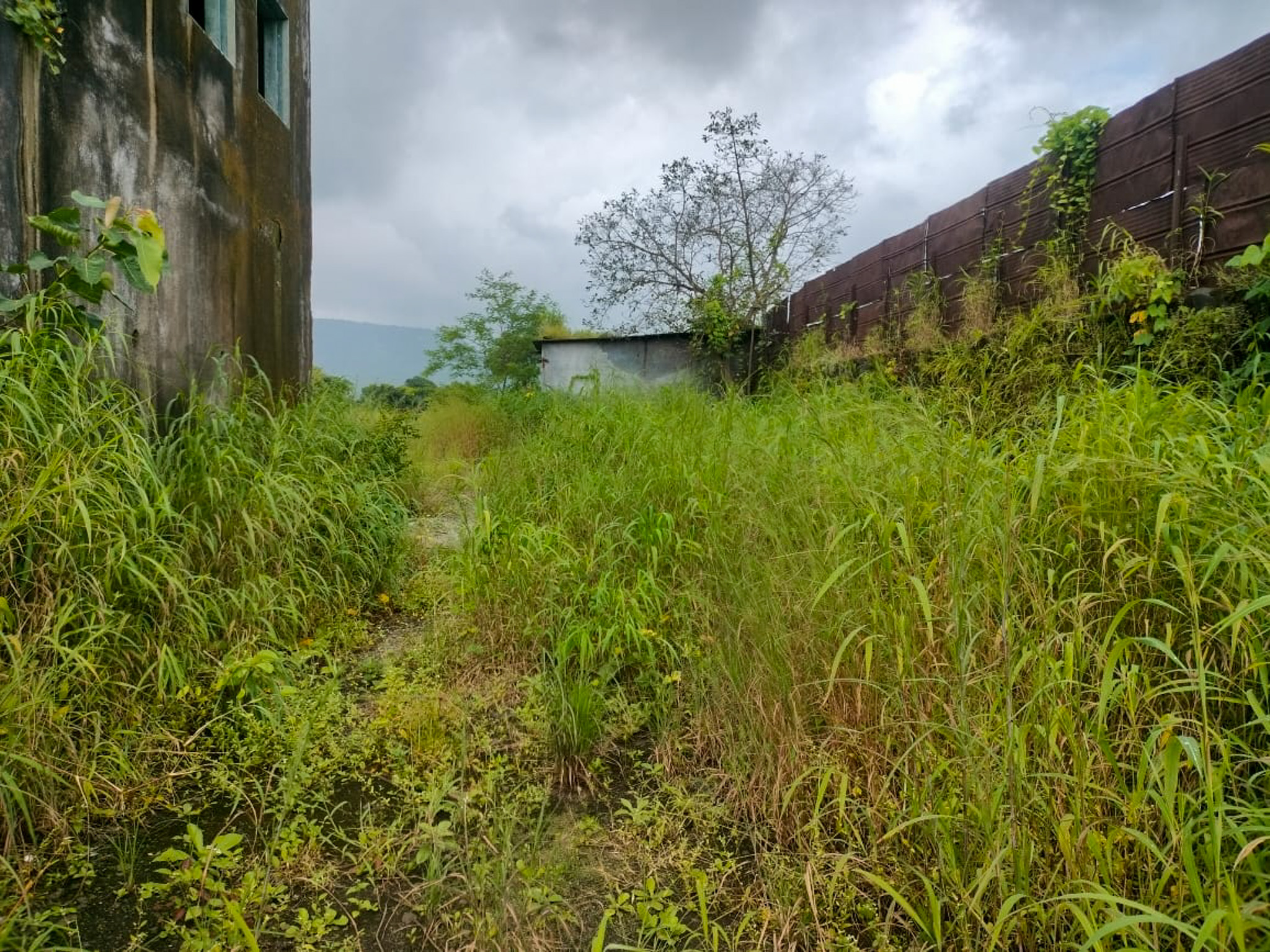 Industrial Plot with Factory Building for Sale in Biloshi, Vada — photo 4
