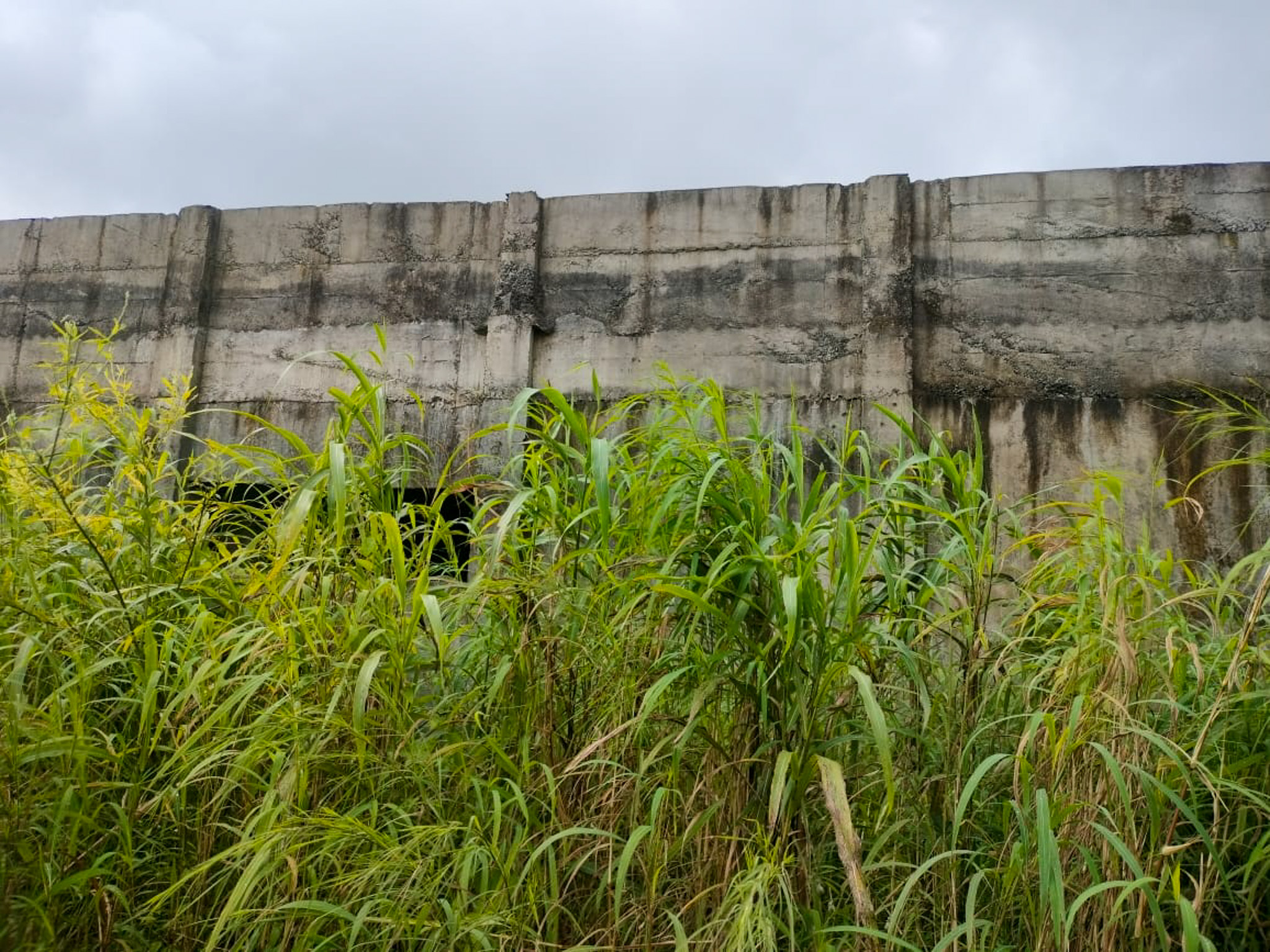Industrial Plot with Factory Building for Sale in Biloshi, Vada — photo 6