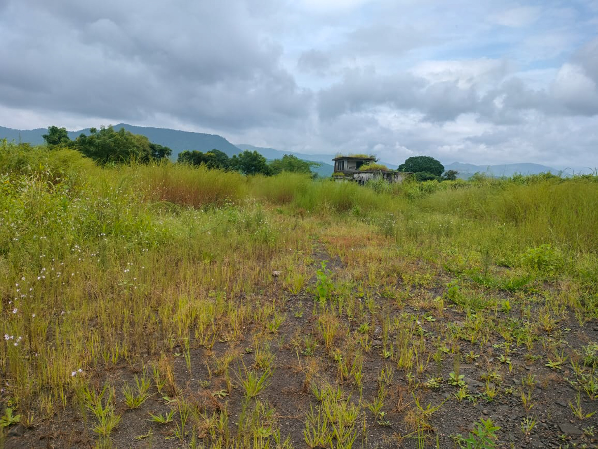 Industrial Plot with Factory Building for Sale in Biloshi, Vada — photo 7